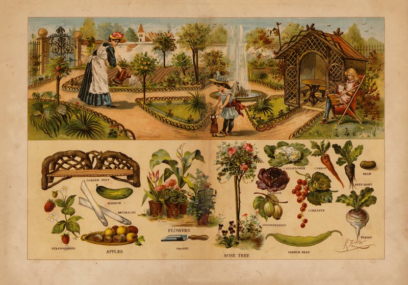 Il Giardino da English School