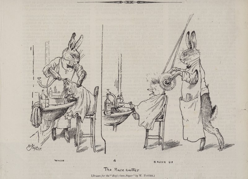 Il tagliatore di lepri da English School