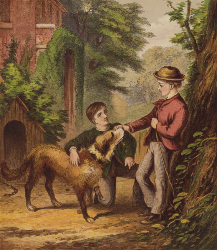 Il piccolo cane fidato da English School