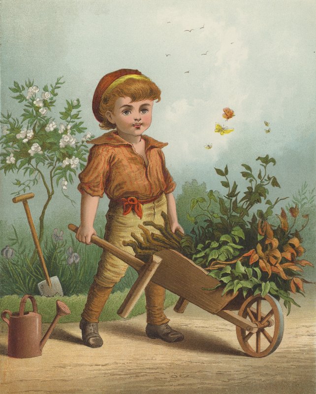 Il piccolo giardiniere da English School