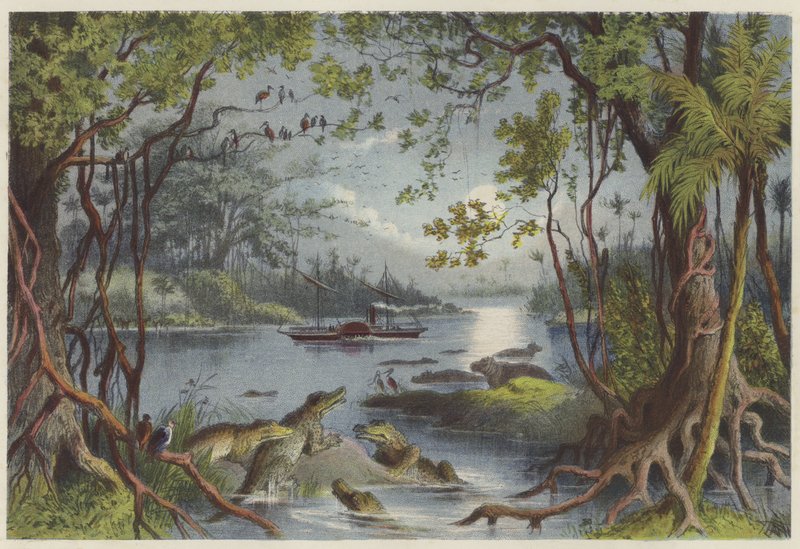 La Ma-Robert sul fiume Zambesi da English School