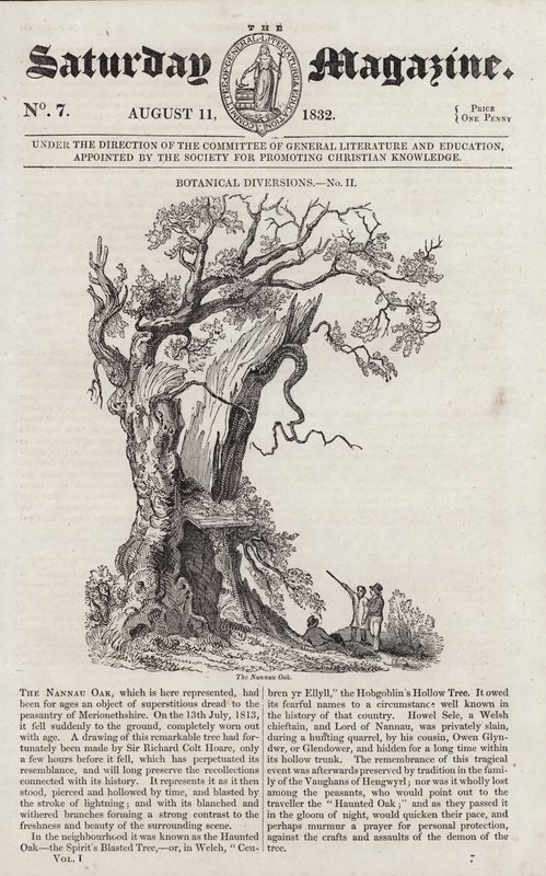 La Quercia di Nannau (incisione) da English School