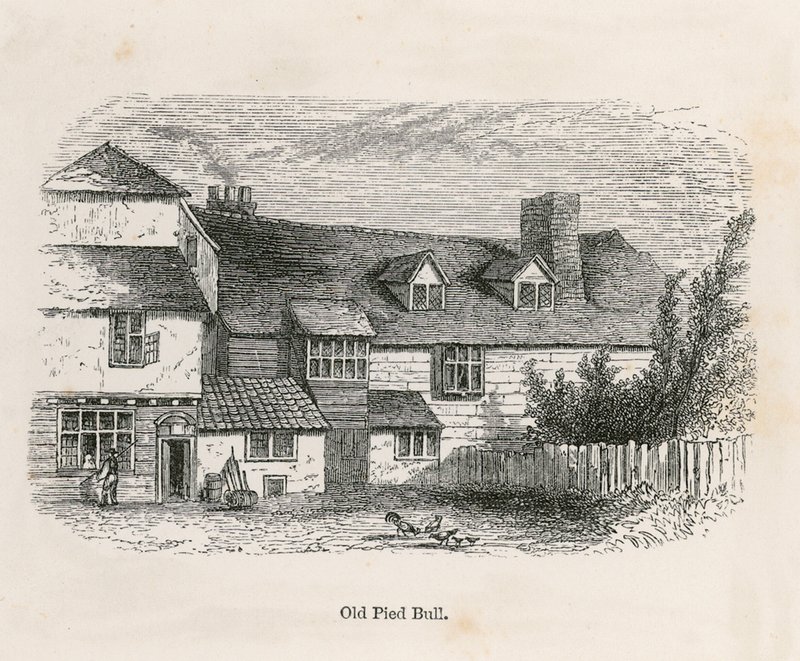 Il Vecchio Pied Bull (retro) da English School