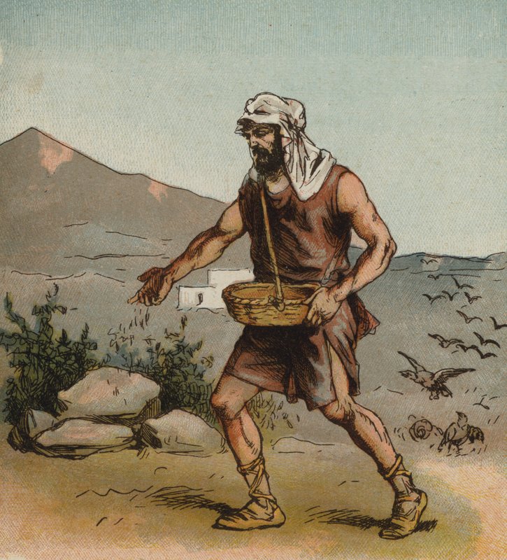Il Seminatore da English School