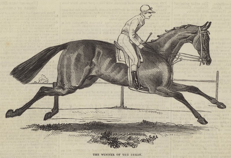 Il vincitore del Derby da English School