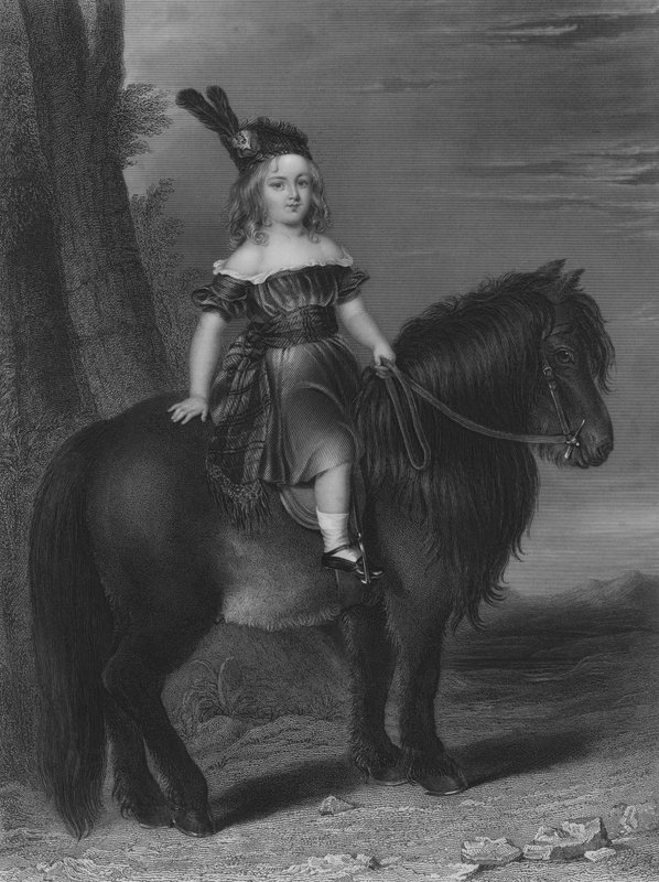 Il Giovane Cavaliere (incisione) da English School