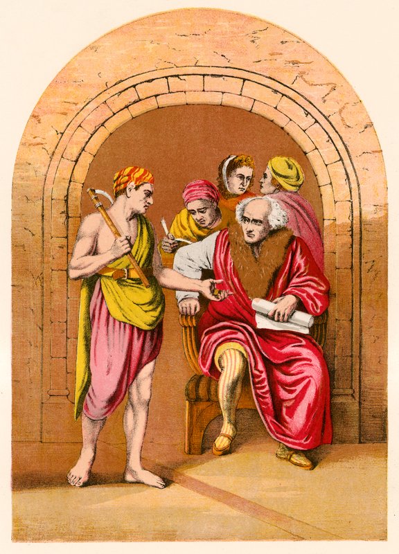 Il signore della vigna da English School