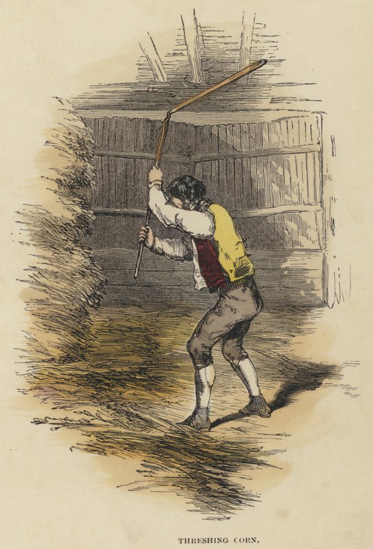 Trebbiatura del Grano (incisione colorata) da English School
