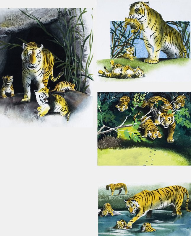 Tigre e cuccioli da English School