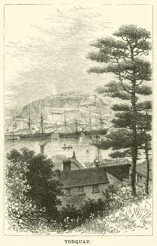 Torquay da English School