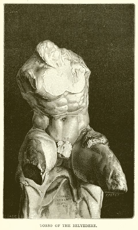Torso del Belvedere da English School