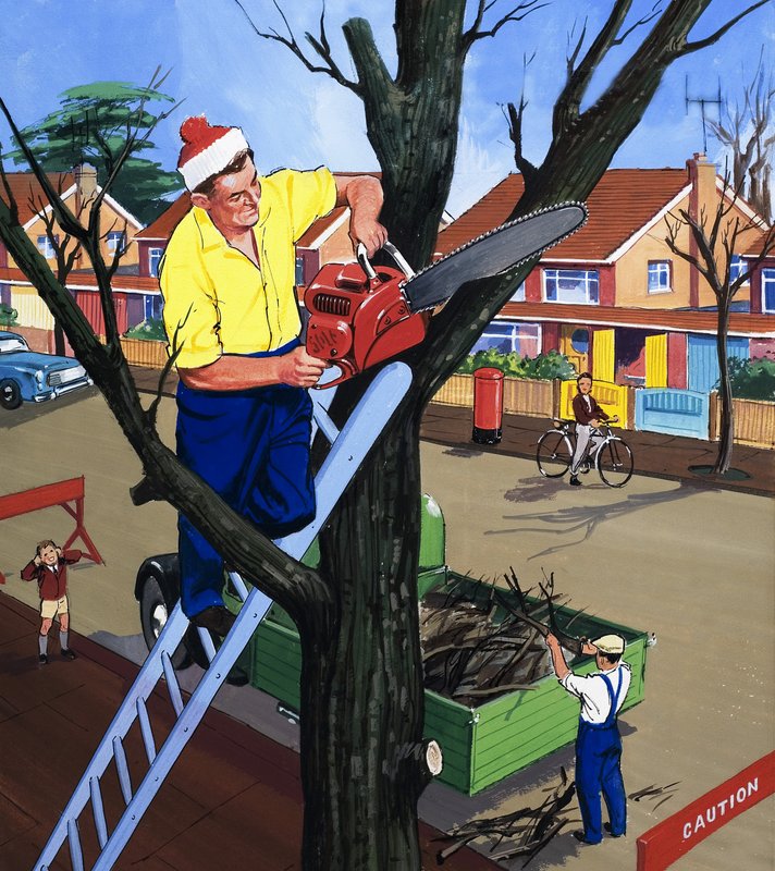 Chirurgo degli alberi da English School