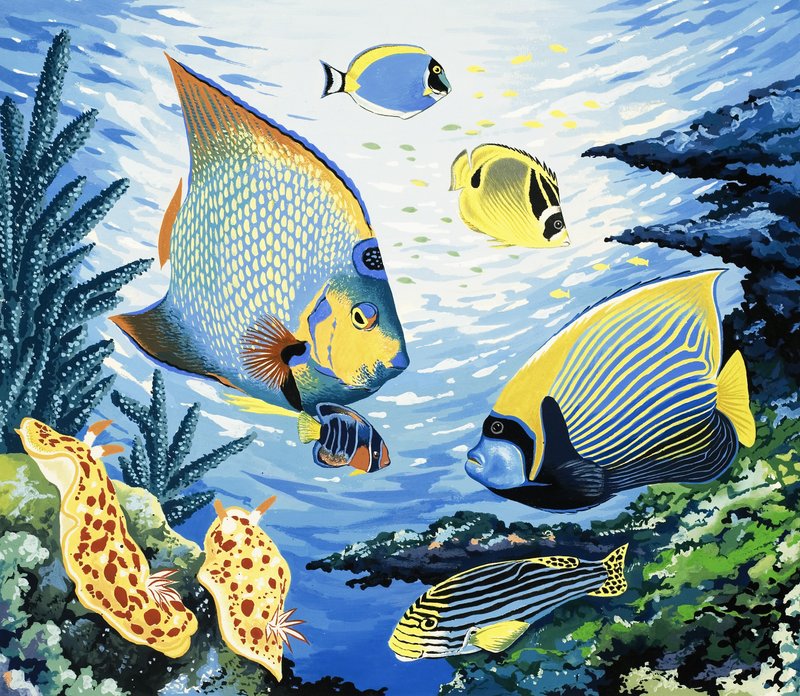 Pesci tropicali da English School