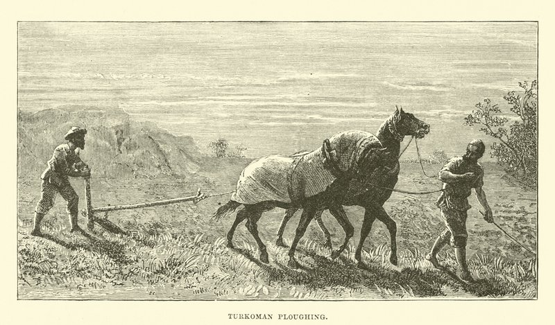 Aratura turcomanna da English School