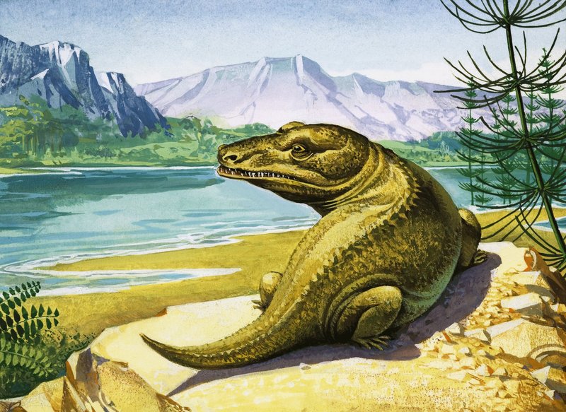 Dinosauro simile a un coccodrillo non identificato da English School