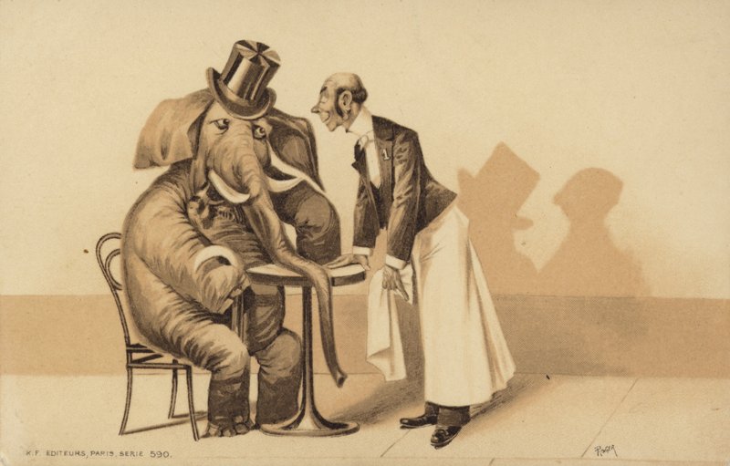 Cameriere serve un elefante da English School