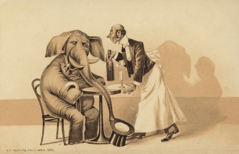 Cameriere serve un elefante da English School