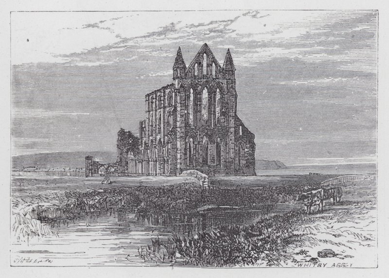 Abbazia di Whitby da English School