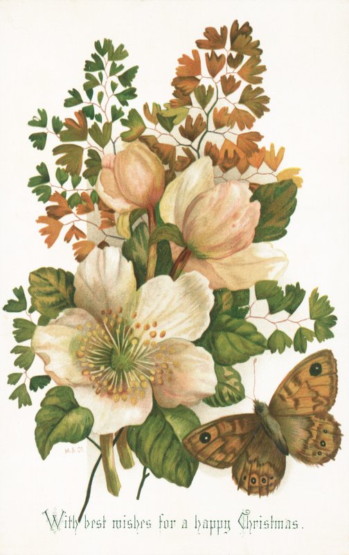 Rose Selvatiche e Farfalla, Cartolina di Natale da English School