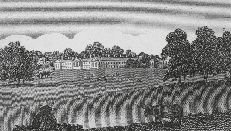 Abbazia di Woburn da English School