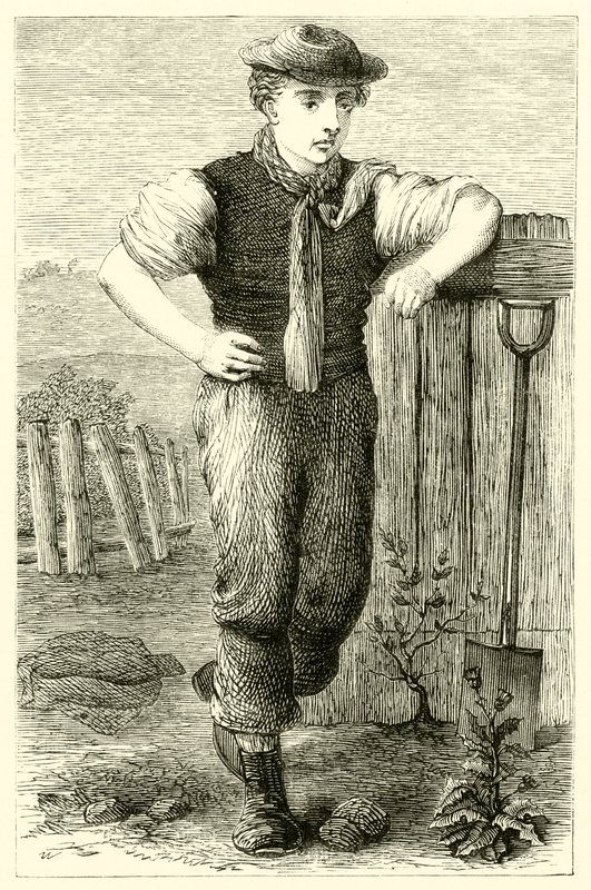 Giovane giardiniere da English School