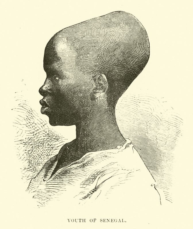 Giovane del Senegal da English School