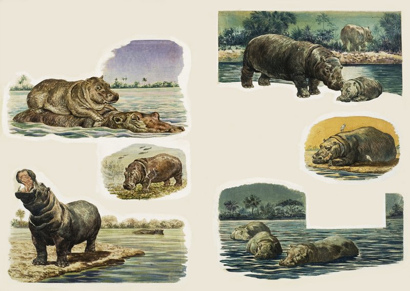 Sbirciare nella natura: L