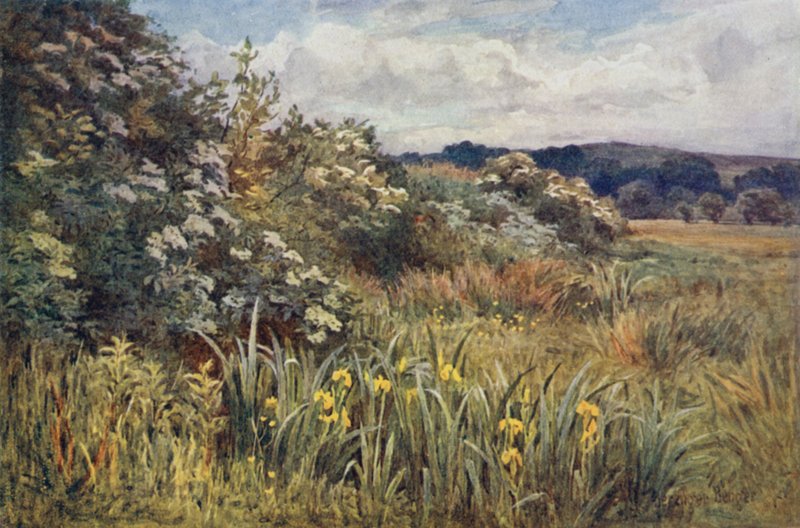 Quando la gloria corona il prato da Ernest Benger or Berenger