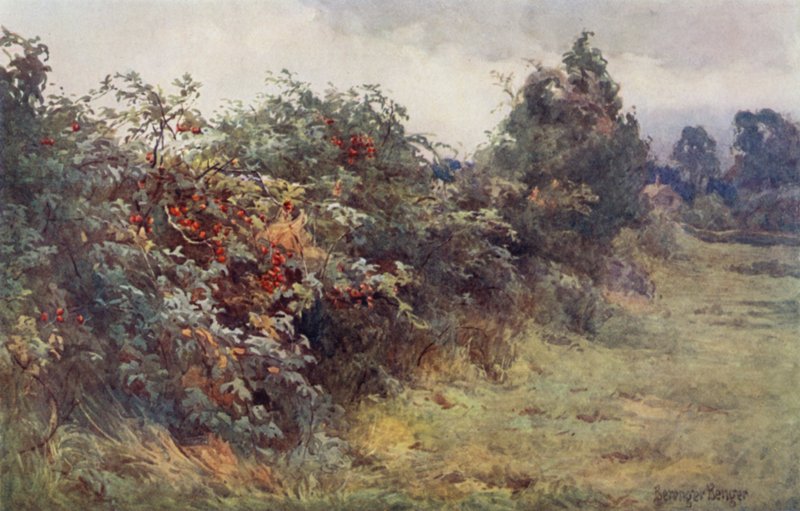 La rivelazione della maturità da Ernest Benger or Berenger