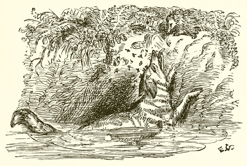 La Volpe e il Riccio da Ernest Henry Griset