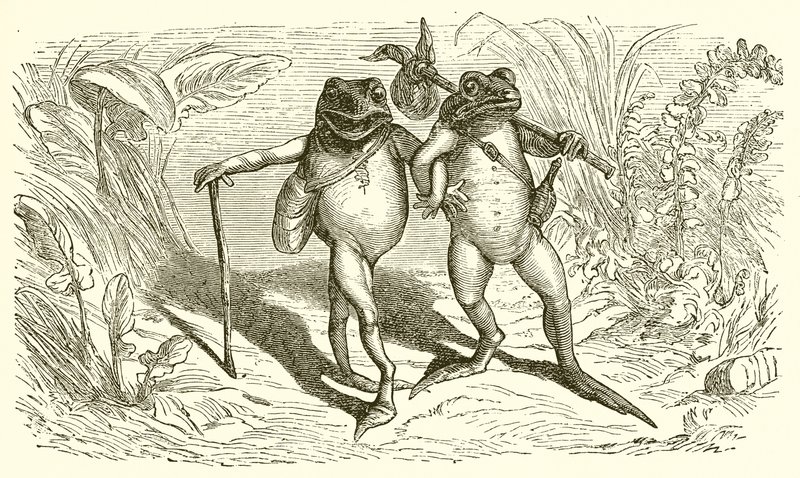 Le due rane da Ernest Henry Griset