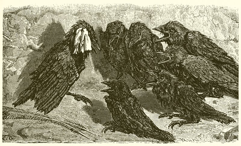 La vanitosa gazza da Ernest Henry Griset
