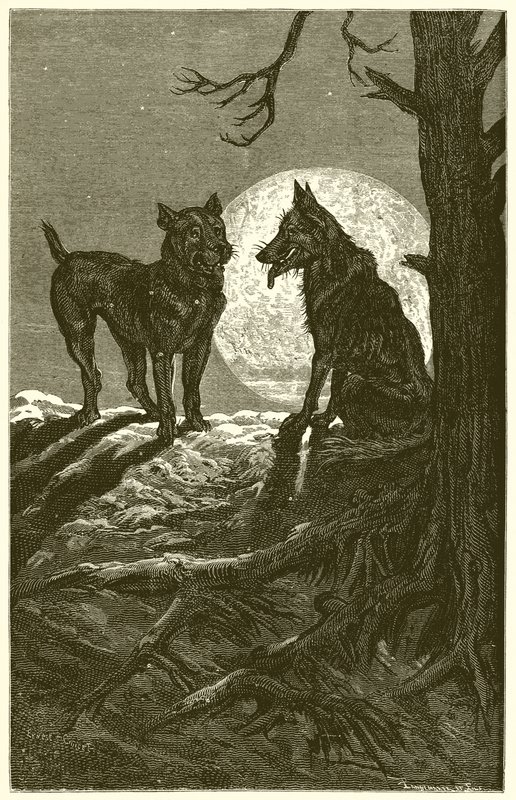 Il lupo e il mastino da Ernest Henry Griset
