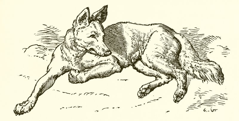Il lupo in veste di pecora da Ernest Henry Griset
