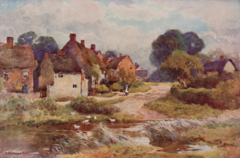 "Beggarly Broom" da Ernest William Haslehust