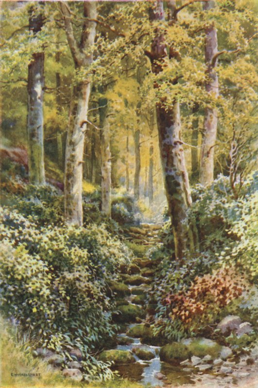 Fairlight Glen da Ernest William Haslehust