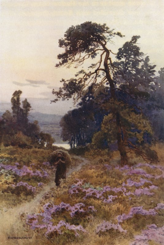 Harlow Moor, Harrogate da Ernest William Haslehust