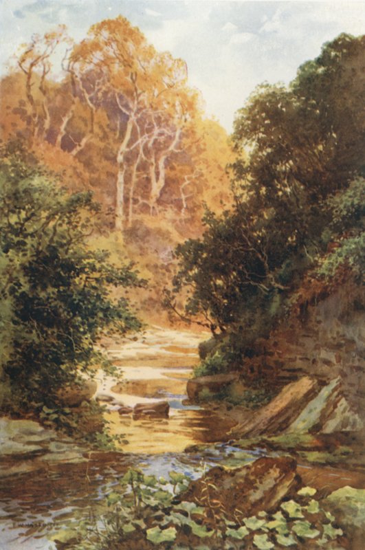 Hayburn Wyke da Ernest William Haslehust