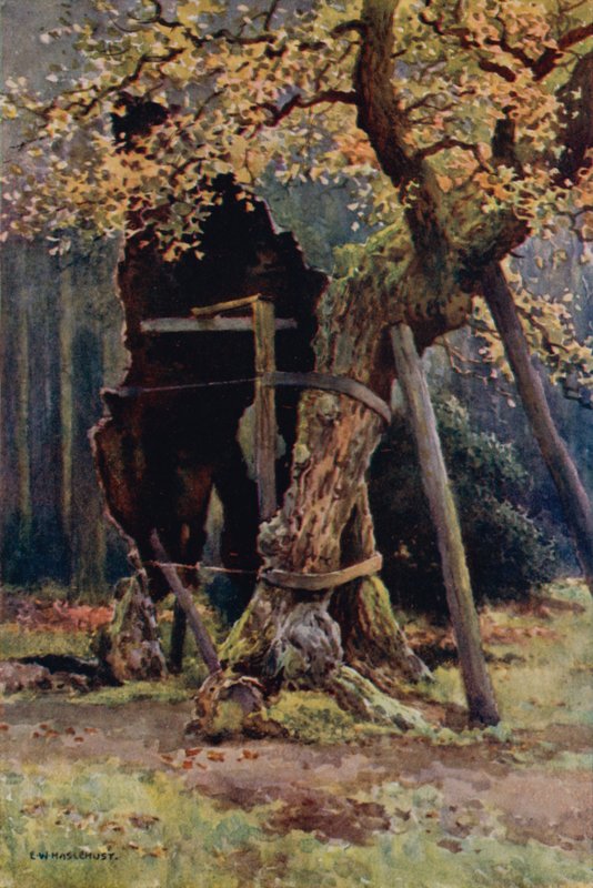 La dispensa di Robin Hood (litografia a colori) da Ernest William Haslehust