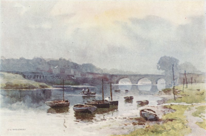 Pescatori di Salmoni a Chester da Ernest William Haslehust