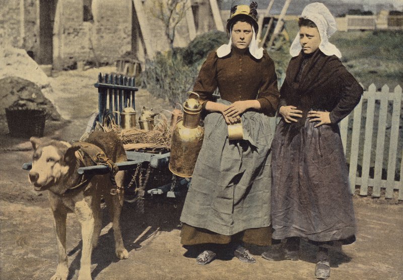 Lattaia ad Anversa da European Photographer