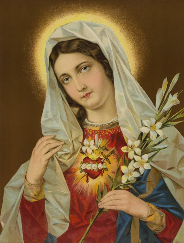 Sacro Cuore della Vergine Maria da European School