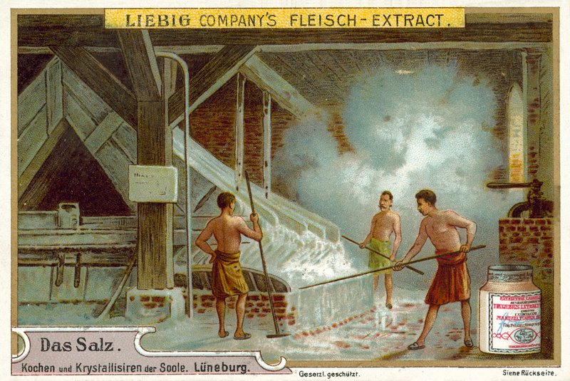 Sale: bollitura della salamoia, Luneburg, Germania da European School