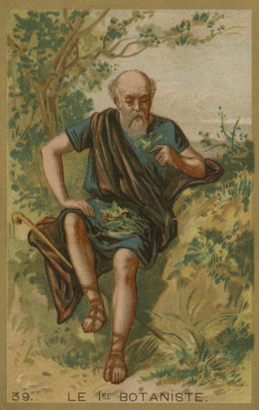 Il primo botanico da European School