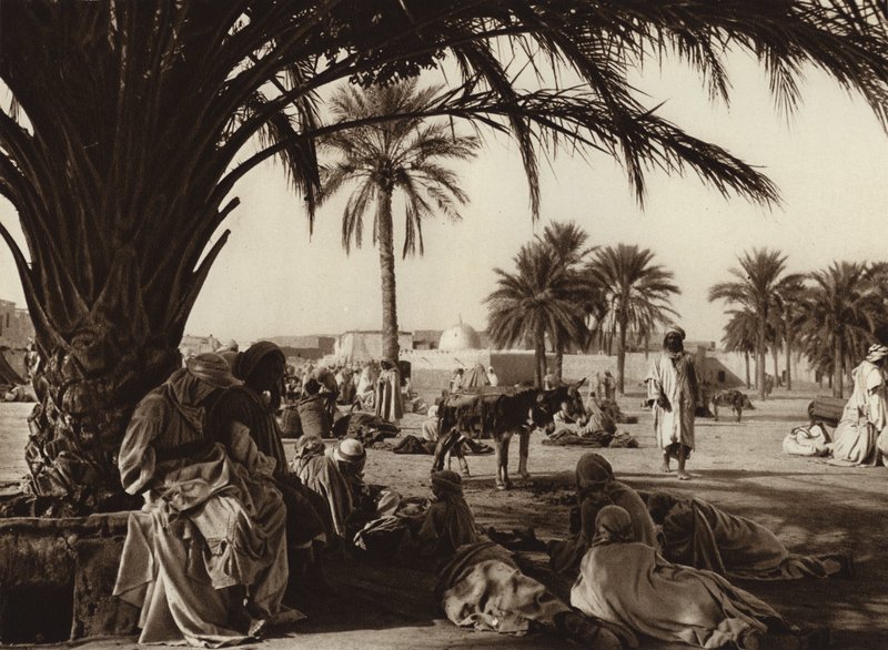 Oasi di Touggourt da European Photographer