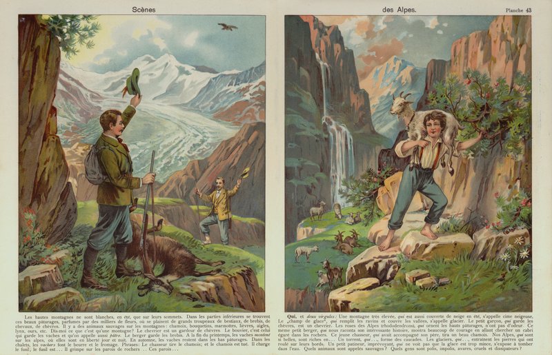 Scene alpine da European School
