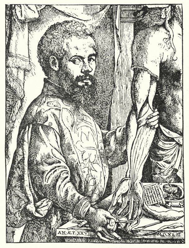 Andreas Vesalius da European School