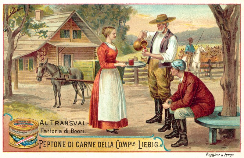 Fattoria boera nel Transvaal da European School