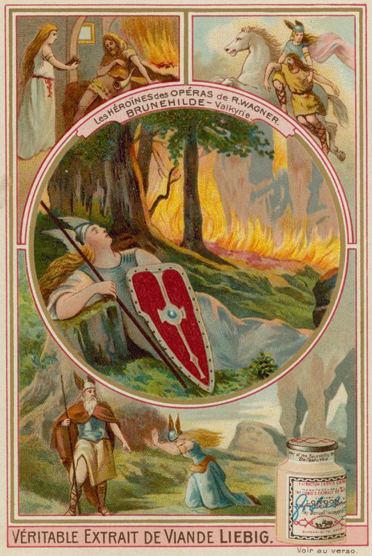 Brünnhilde (La Valchiria) da European School