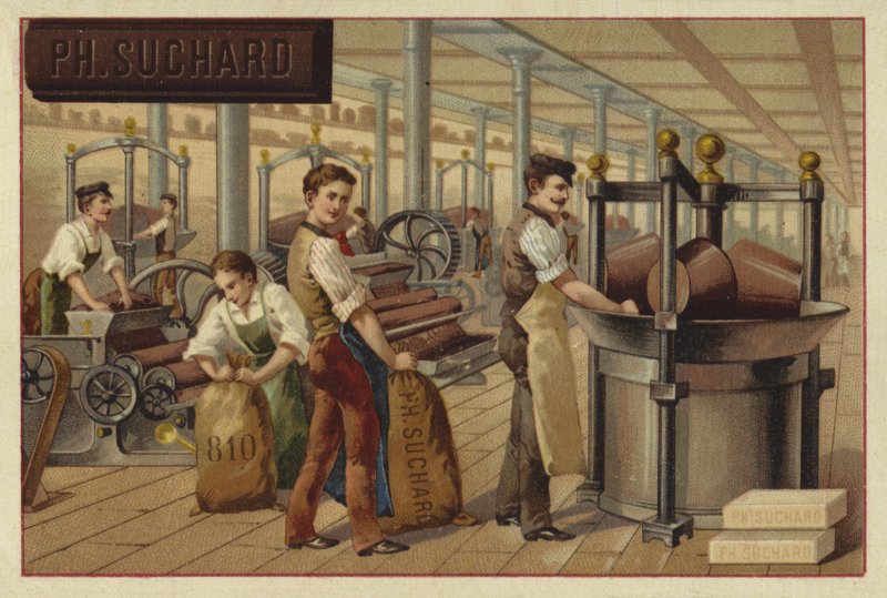 Produzione di cioccolato da European School